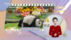 国产一二三四2022精字窝